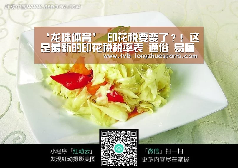 龙珠体育