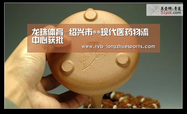 龙珠体育