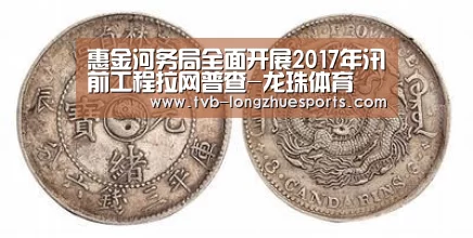 龙珠体育