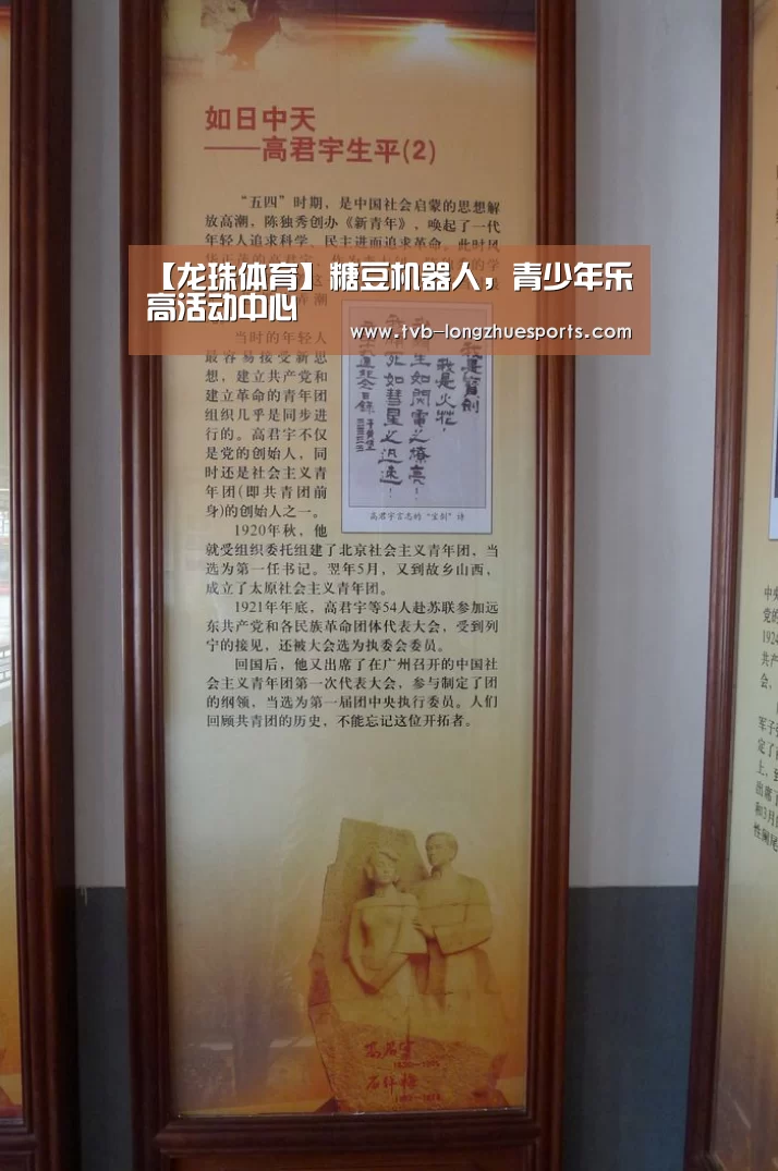 龙珠体育