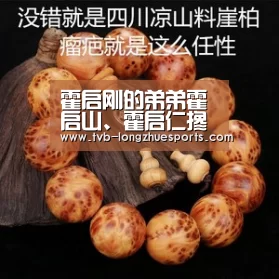 龙珠体育