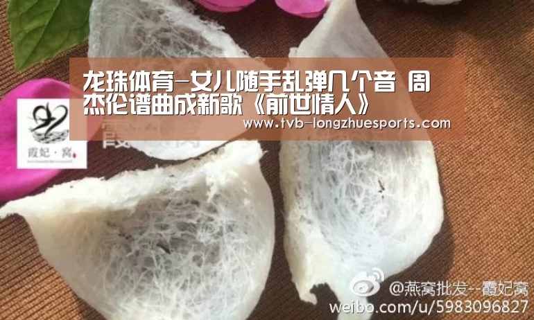 龙珠体育
