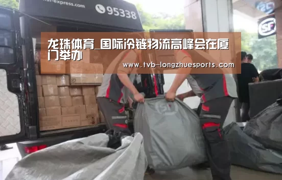 龙珠体育