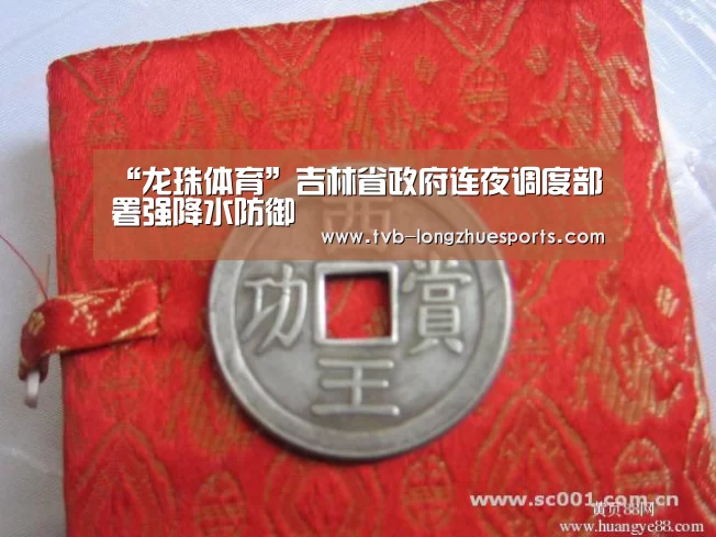龙珠体育