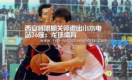 西安将限期关停退出小水电站36座:龙珠体育(图3) 龙珠体育