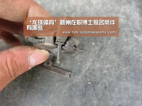 ‘龙珠体育’赣州在职博士报名条件有哪些